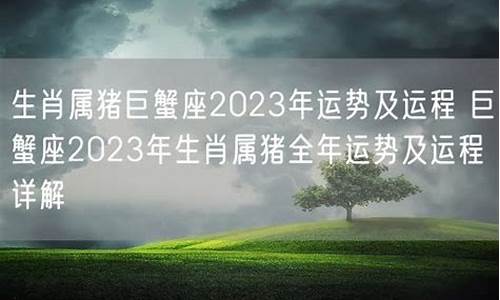 属猪巨蟹座本年运程-属猪的巨蟹座女人财运