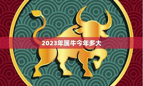 73年属牛今年多大岁了-73年属牛今年多少岁