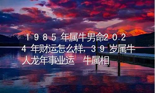 2024年说什么属相-2024年哪个属相运势好呢男