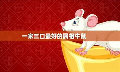 属相鼠今年的运势如何-鼠属相运势查询详解今年