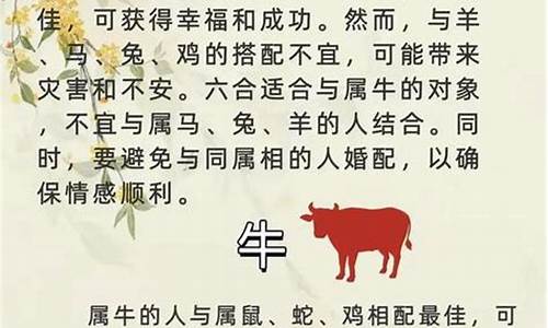 十二生肖配属表-十二生肖属相配对宜忌大全