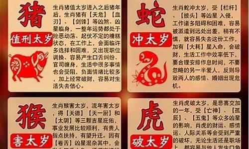 属相运势2023年龙详解解析-2023年龙的运势