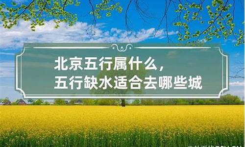 属虎的适合去哪些城市-属虎适合去什么城市