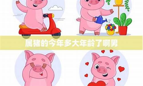 生肖猪今年多大年龄了-生肖猪今年几岁2020