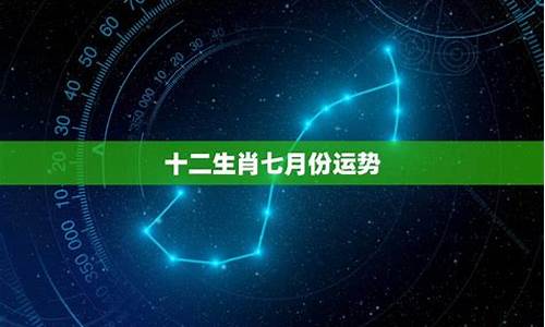 今年十二星座运势-今年十二星座的运势